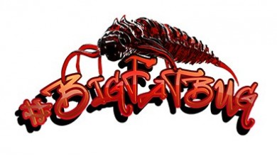 BigFatBug