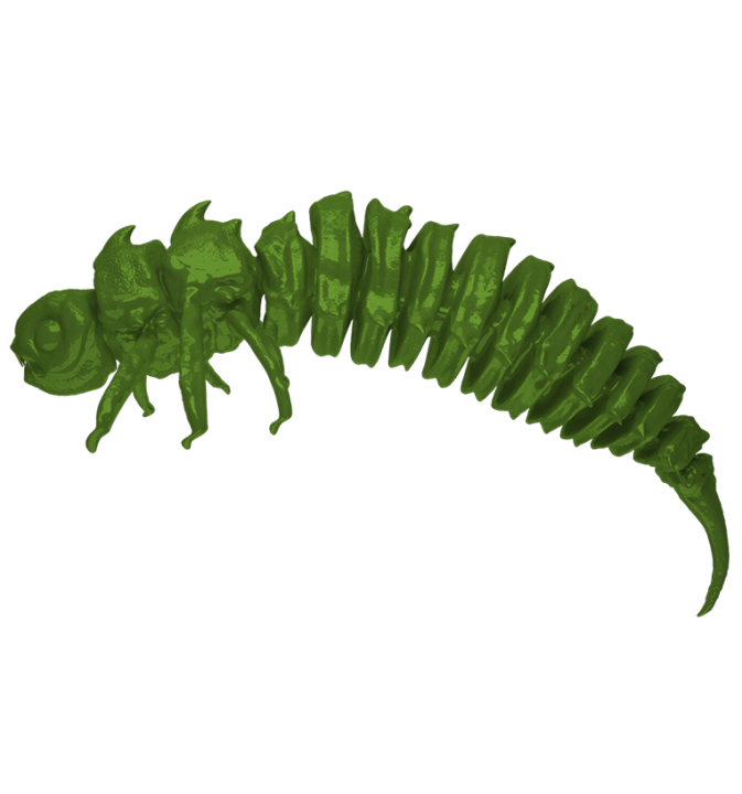 BigFatBug The Grass OPAKOWANIE