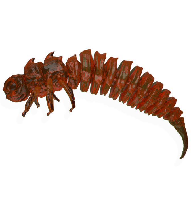 BigFatBug Karotka OPAKOWANIE
