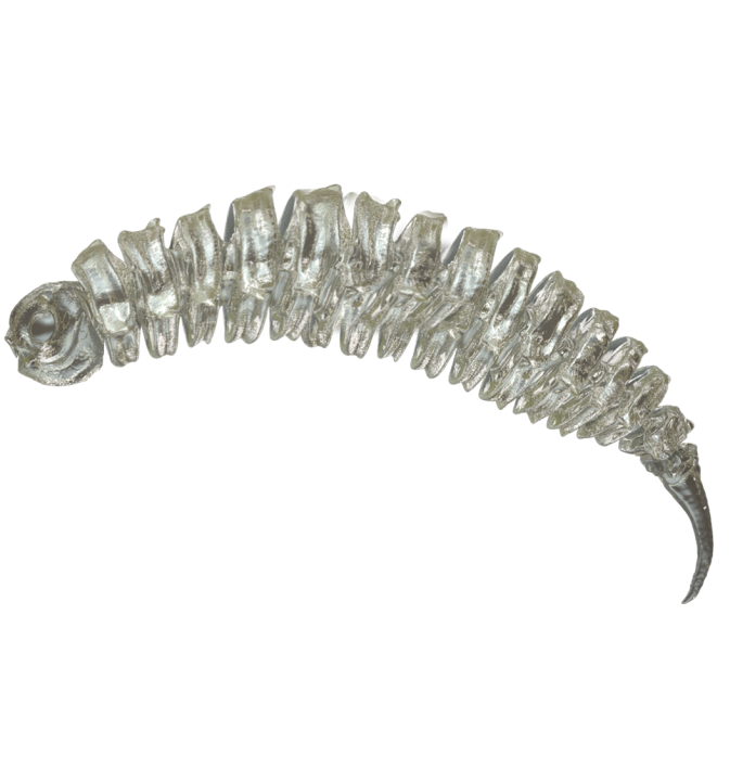 BigFatSnail Invisible Creature 6cm