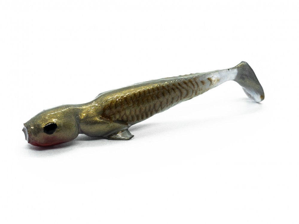 Syrena Shad Faraonka