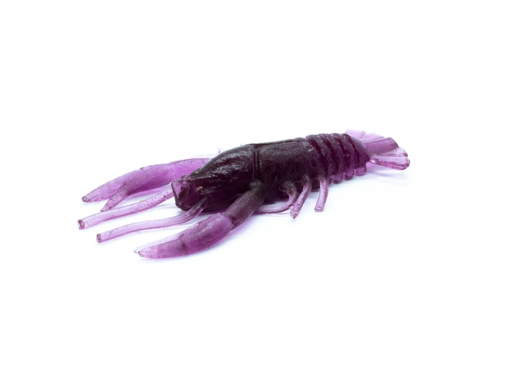 Raczek Fiolet