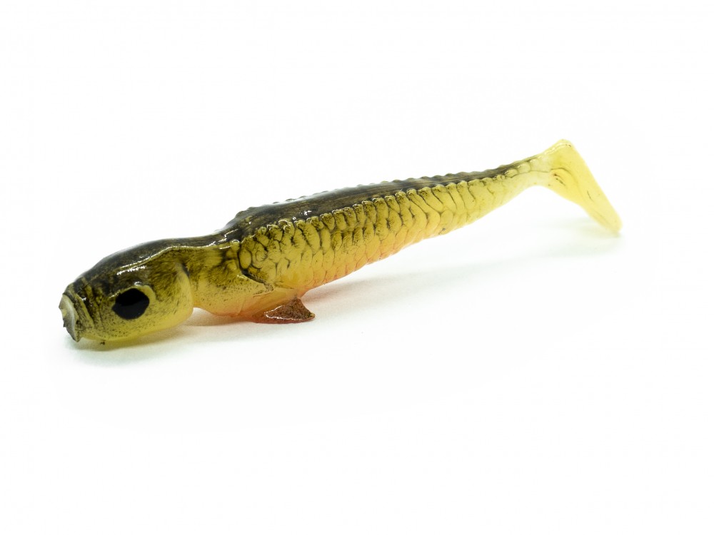 Syrena Shad Kanarek