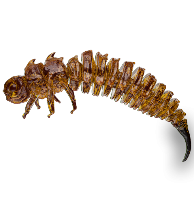 BigFatBug Whiskey OPAKOWANIE