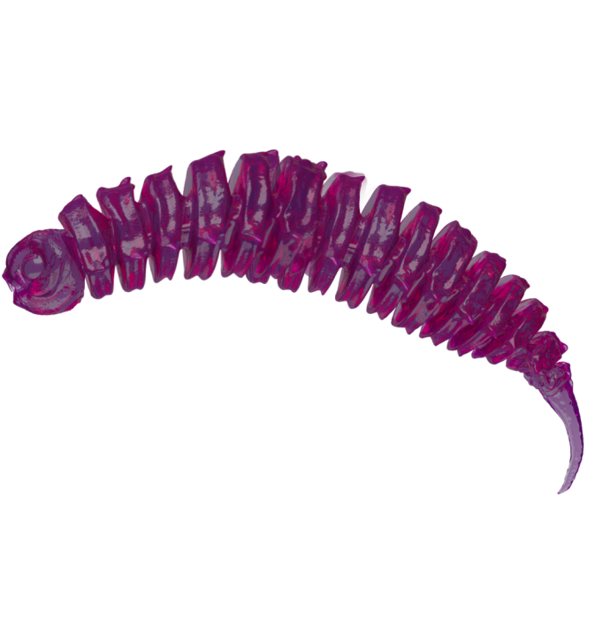 BigFatSnail Purple Jelly 6cm