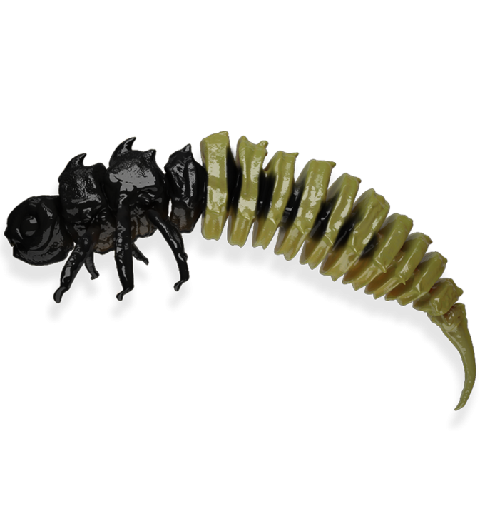 BIGFATBUG LARGE LARVE 1szt