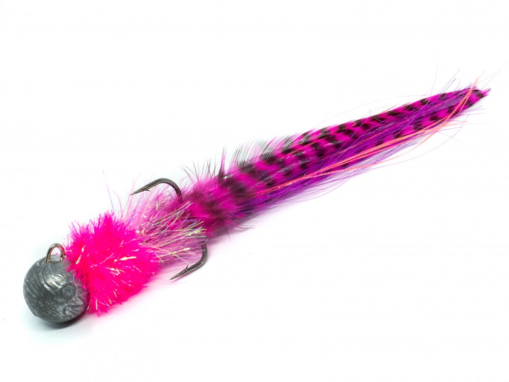 Kogut Violet Tiger NOWOŚĆ!