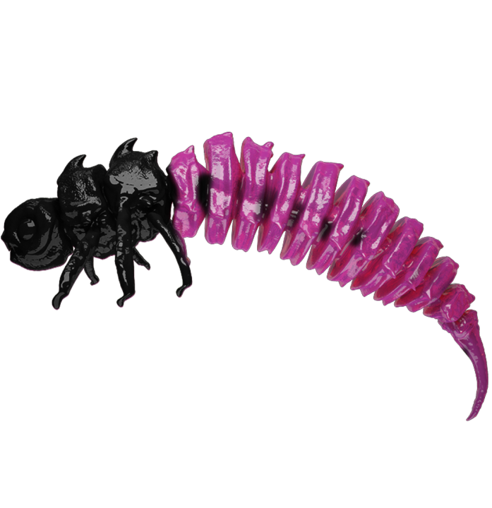 BigFatBug Pink Larve OPAKOWANIE