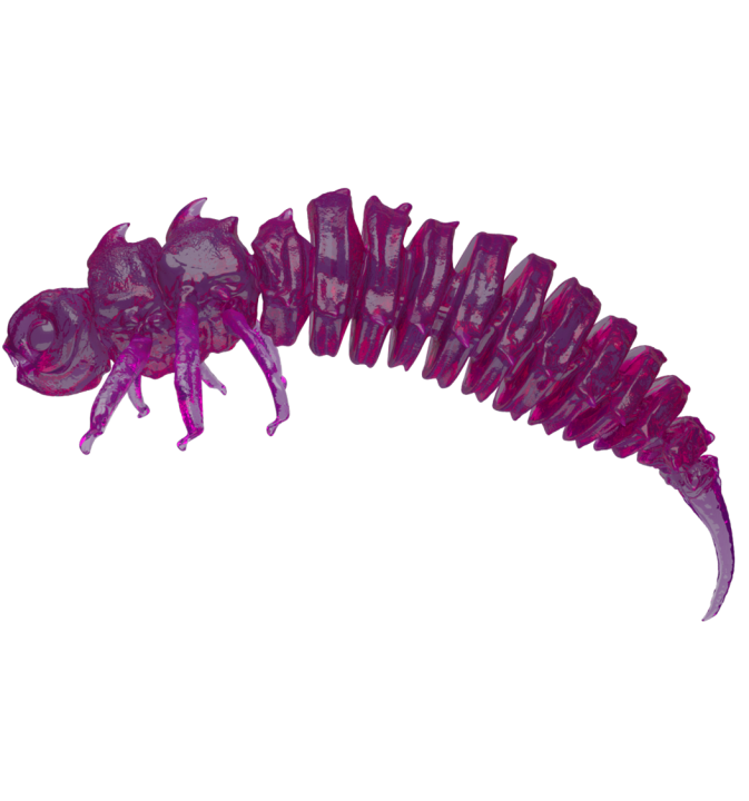 BigFatBug Purple Jelly OPAKOWANIE