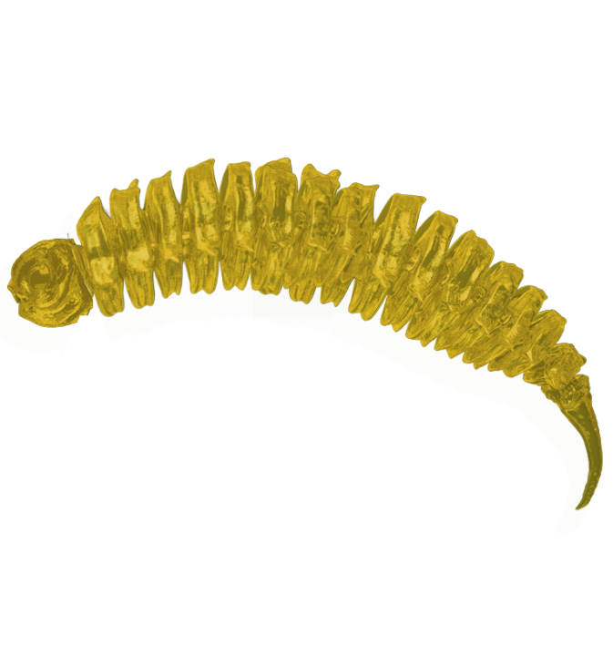 BigFatSnail Classic Yellow 6cm