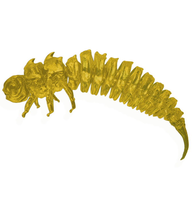 BigFatBug Classic Yellow OPAKOWANIE